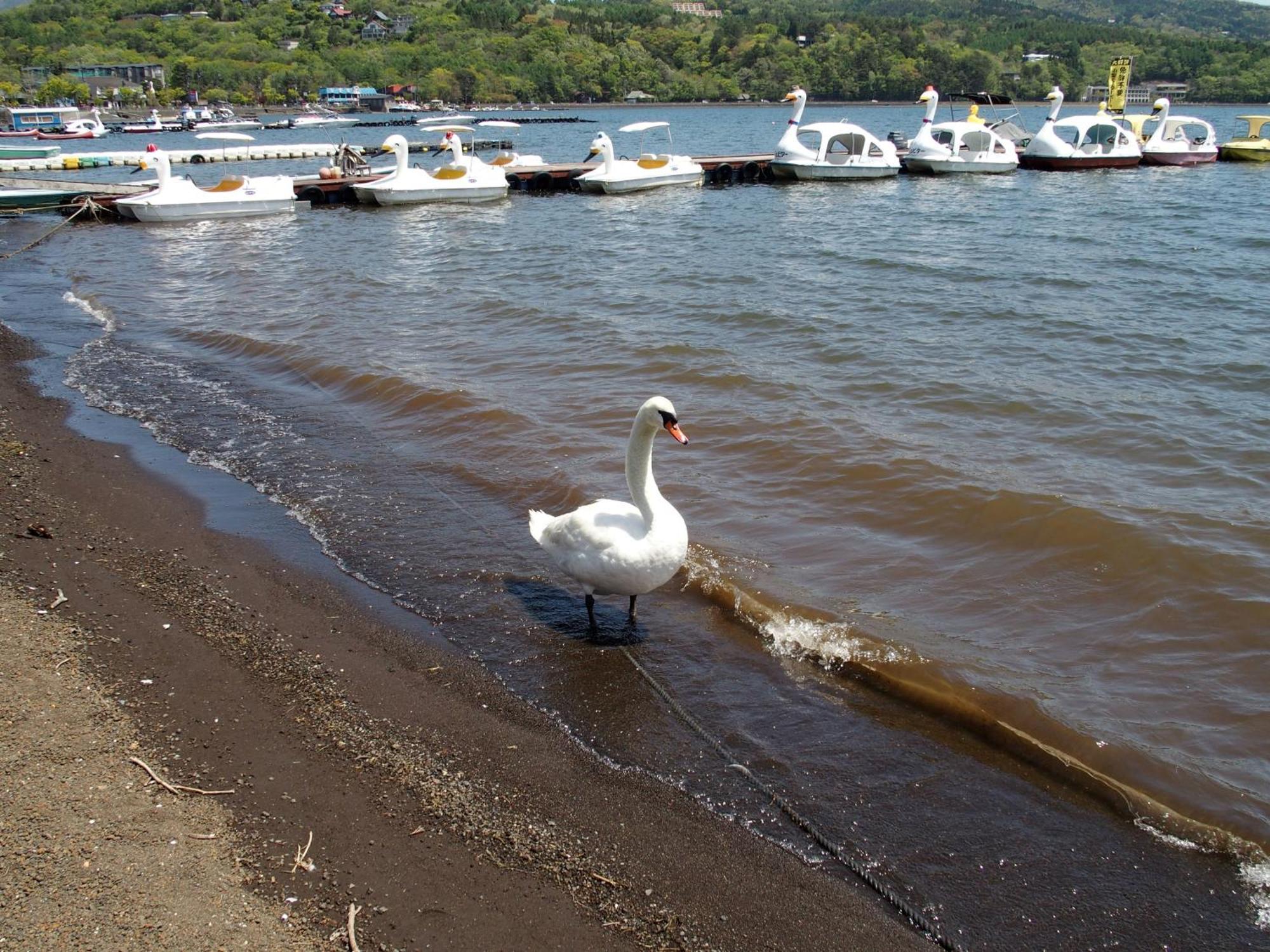 Guesthouse Hiiragi Yamanakako Dış mekan fotoğraf